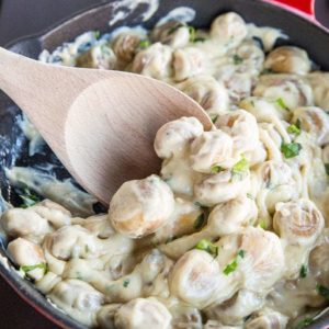 Look at How Creamy and Amazing these Mushrooms Look!