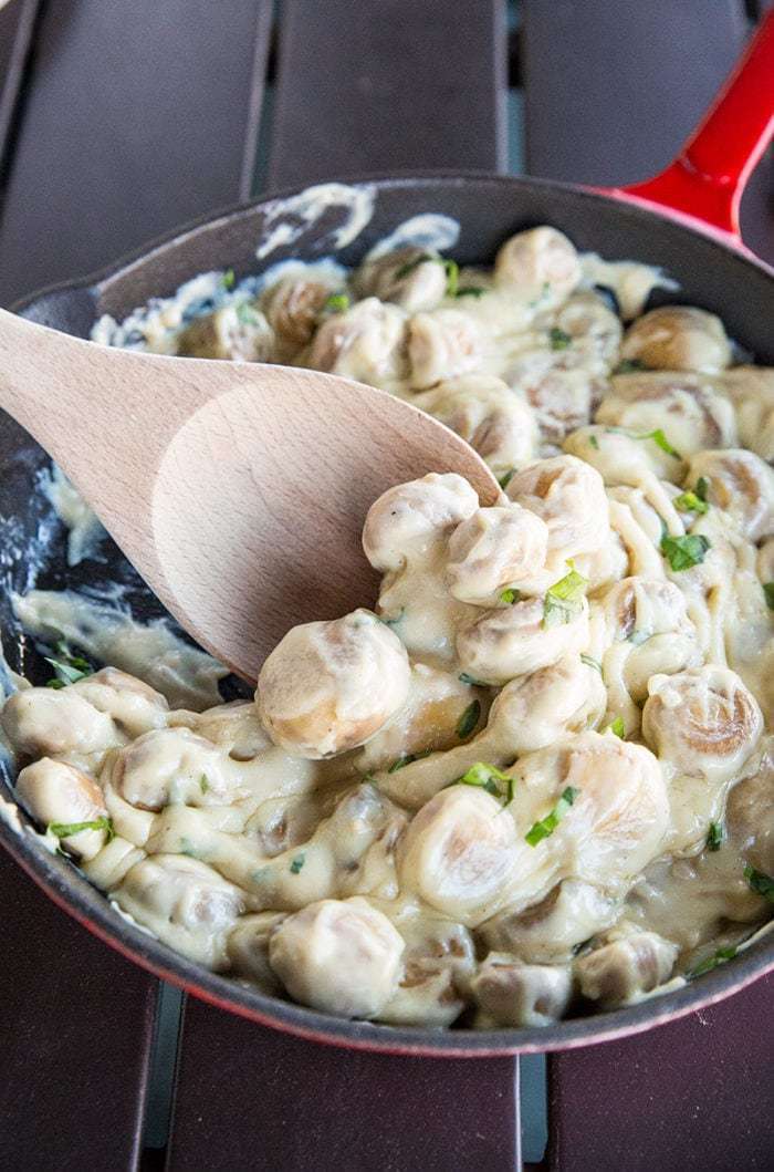 Look at How Creamy and Amazing these Mushrooms Look!