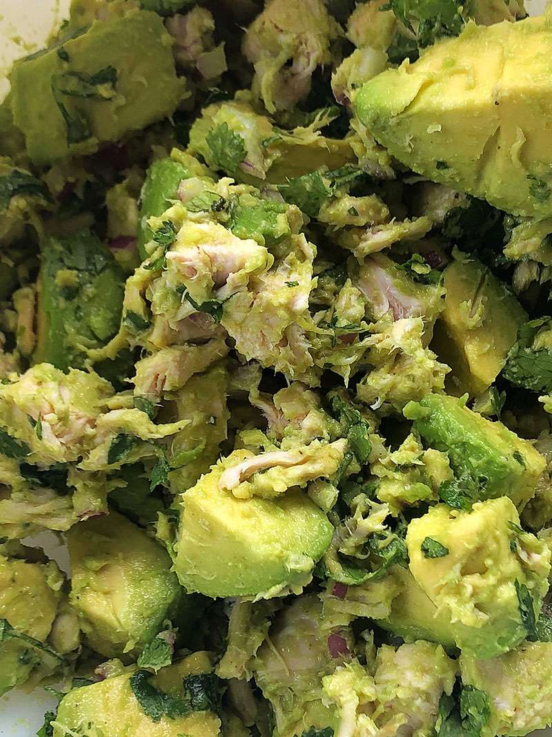 Close up of the Avocado Chicken Salad